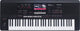 Medeli Medeli AKX10S 61-Key Arranger Workstation Keyboard with Bluetooth - Arranger Keyboards