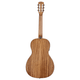 Alvarez AP66E Artist Parlor Acoustic-Electric Guitar (Shadowburst)