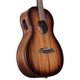 Alvarez AP66E Artist Parlor Acoustic-Electric Guitar (Shadowburst)