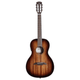 Alvarez AP66E Artist Parlor Acoustic-Electric Guitar (Shadowburst)