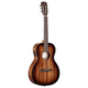 Alvarez AP66E Artist Parlor Acoustic-Electric Guitar (Shadowburst)