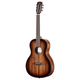 Alvarez AP66E Artist Parlor Acoustic-Electric Guitar (Shadowburst)