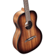 Alvarez AP66E Artist Parlor Acoustic-Electric Guitar (Shadowburst)
