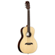 Alvarez AP70E Artist Parlor Acoustic-Electric Guitar (Natural Gloss)