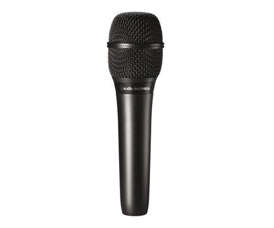 Audio-Technica AT2010