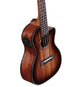 Alvarez AU66CCESHB Artist Concert Cutaway Acoustic-Electric Ukulele (Shadowburst)