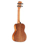 Alvarez AU66CSHB Artist Concert Ukulele (Shadowburst)