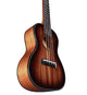 Alvarez AU66CSHB Artist Concert Ukulele (Shadowburst)