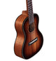Alvarez AU66CSHB Artist Concert Ukulele (Shadowburst)