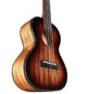 Alvarez AU66TSHB Artist Tenor Ukulele (Shadowburst)