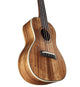 Alvarez AU90C Artist Concert Ukulele (Natural Satin)