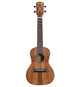 Alvarez AU90C Artist Concert Ukulele (Natural Satin)