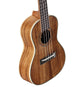 Alvarez AU90C Artist Concert Ukulele (Natural Satin)