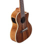 Alvarez AU90CCE Artist Concert Cutaway Acoustic-Electric Ukulele (Natural Satin)