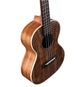 Alvarez AU90T Artist Tenor Ukulele (Natural Satin)