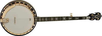 Washburn Americana B17 5-String Resonator Banjo (Tobacco Sunburst)