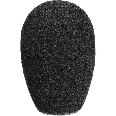 Shure BCAWS1