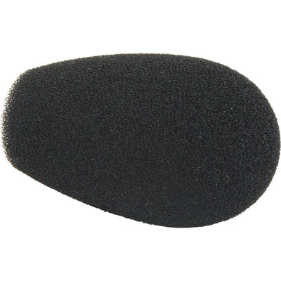 Shure BCAWS2