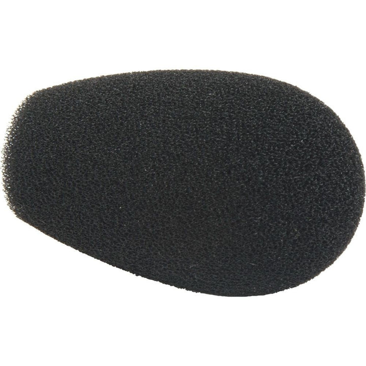 Shure BCAWS2