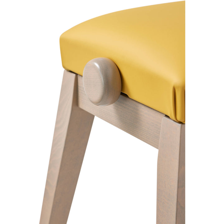 Casio BG50 Premium Adjustable Piano Bench For PX-S7000