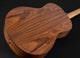 Washburn Bella Tono Elegante S24S Studio Acoustic Guitar (Gloss Natural)