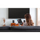 M-Audio BX4 (Pair) with Bluetooth