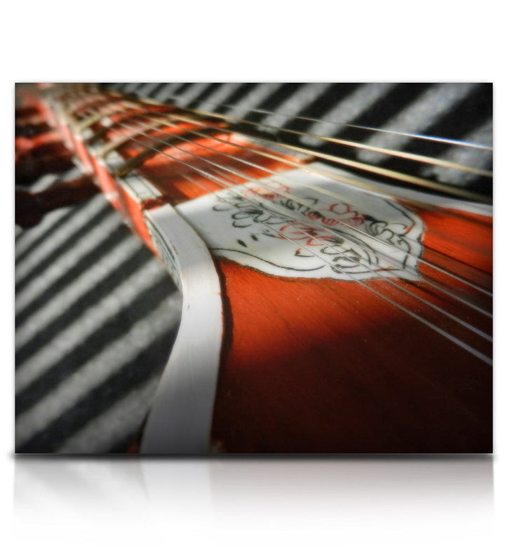 Bizarre Sitar - 4