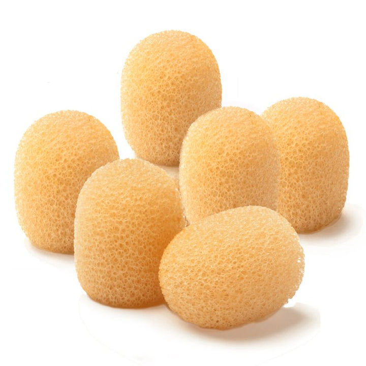 Point Source CO-6-KIT-ATCH-BE