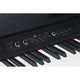 Medeli Medeli CP203 Andromeda 88-Key Compact Upright Digital Piano (Black) - Electric Pianos