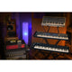 Focusrite Clarett+ OctoPre