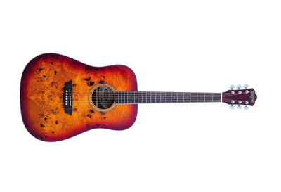 Washburn Deep Forest Burl D Dreadnought Acoustic Guitar (Amber Fade)