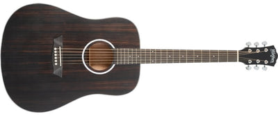 Washburn Deep Forest Ebony D Dreadnought Acoustic Guitar (Striped Ebony)