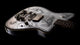 Duesenberg Alliance Series Johnny Depp Signature Electric Guitar (Black & Aluminum)