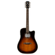 Alvarez DY1 Yairi Stage Dreadnought Acoustic Guitar (Sunburst)