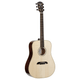 Alvarez DYM60HD Yairi Honduran Dreadnought Acoustic Guitar (Natural Gloss)