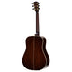 Alvarez DYM66HD Yairi Honduran Dreadnought Acoustic Guitar (Natural Gloss)