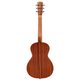 Alvarez Delta DeLite E Artist Mini Blues Acoustic-Electric Guitar (Shadowburst Satin)