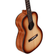 Alvarez Delta DeLite E Artist Mini Blues Acoustic-Electric Guitar (Shadowburst Satin)