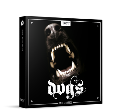 BOOM LIBRARY Boom Dogs