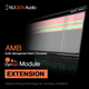 NUGEN Audio NUGEN AMB DynApt Module