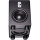 Eve Audio TS110