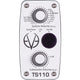Eve Audio TS110