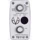 Eve Audio TS112