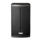FBT X-LITE 110 700W Passive 2-Way Portable Loudspeaker (Black) - 10"