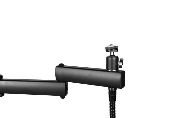 Gator GFW-ID-CREATORTREE