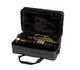 Gator Gator GL-CORNET-A Cornet Case