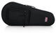 Gator Gator GL-MANDOLIN GL Lightweight Mandolin Case