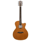 Alvarez GYM74CE Yairi Masterworks Grand Auditorium Cutaway Acoustic-Electric Guitar (Natural Gloss)