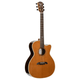 Alvarez GYM74CE Yairi Masterworks Grand Auditorium Cutaway Acoustic-Electric Guitar (Natural Gloss)
