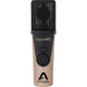 Apogee HypeMiC
